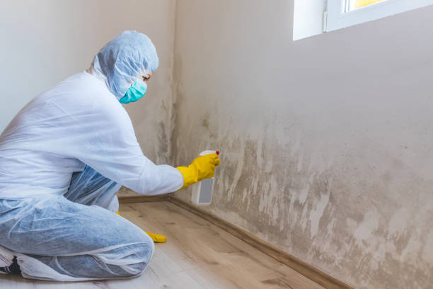 Crawl Space Mold Remediation treatment of floor joists in Troutville